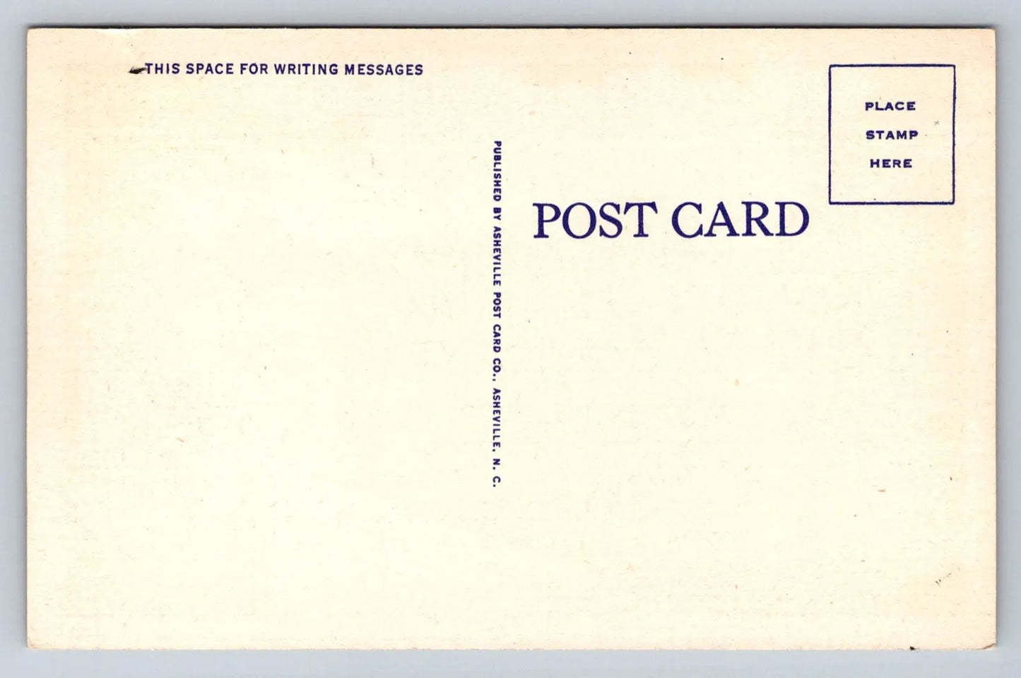 Mountain Roadway by Moonlight, Road and Greenery Vintage Postcard