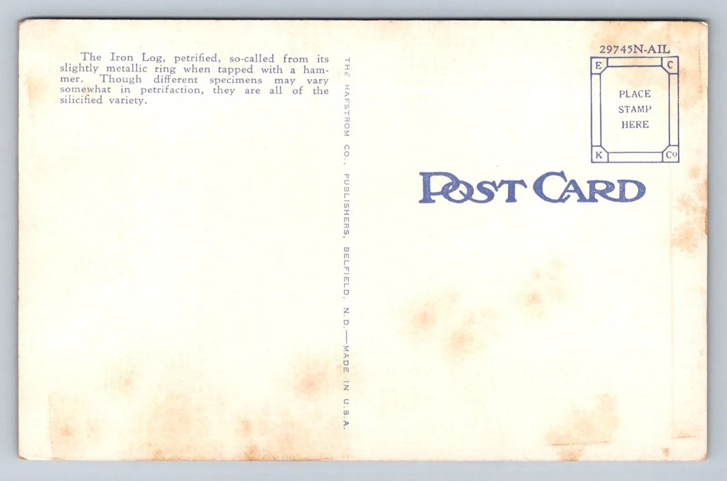 Iron Log in Cedar Canyon, North Dakota Bad-lands Vintage Postcard