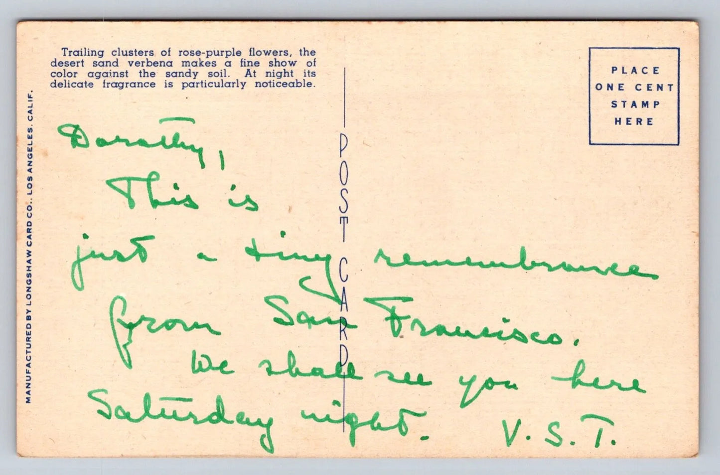 California Desert Carpeted with Sand Verbena Flowers Vintage Postcard