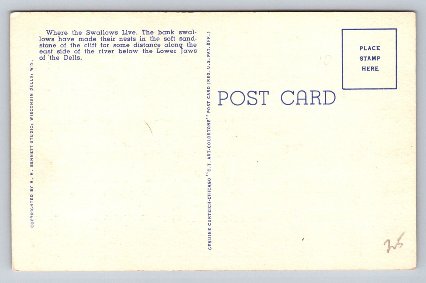 The Swallows' Nests, Dells of the Wisconsin River Vintage Curt Teich Postcard