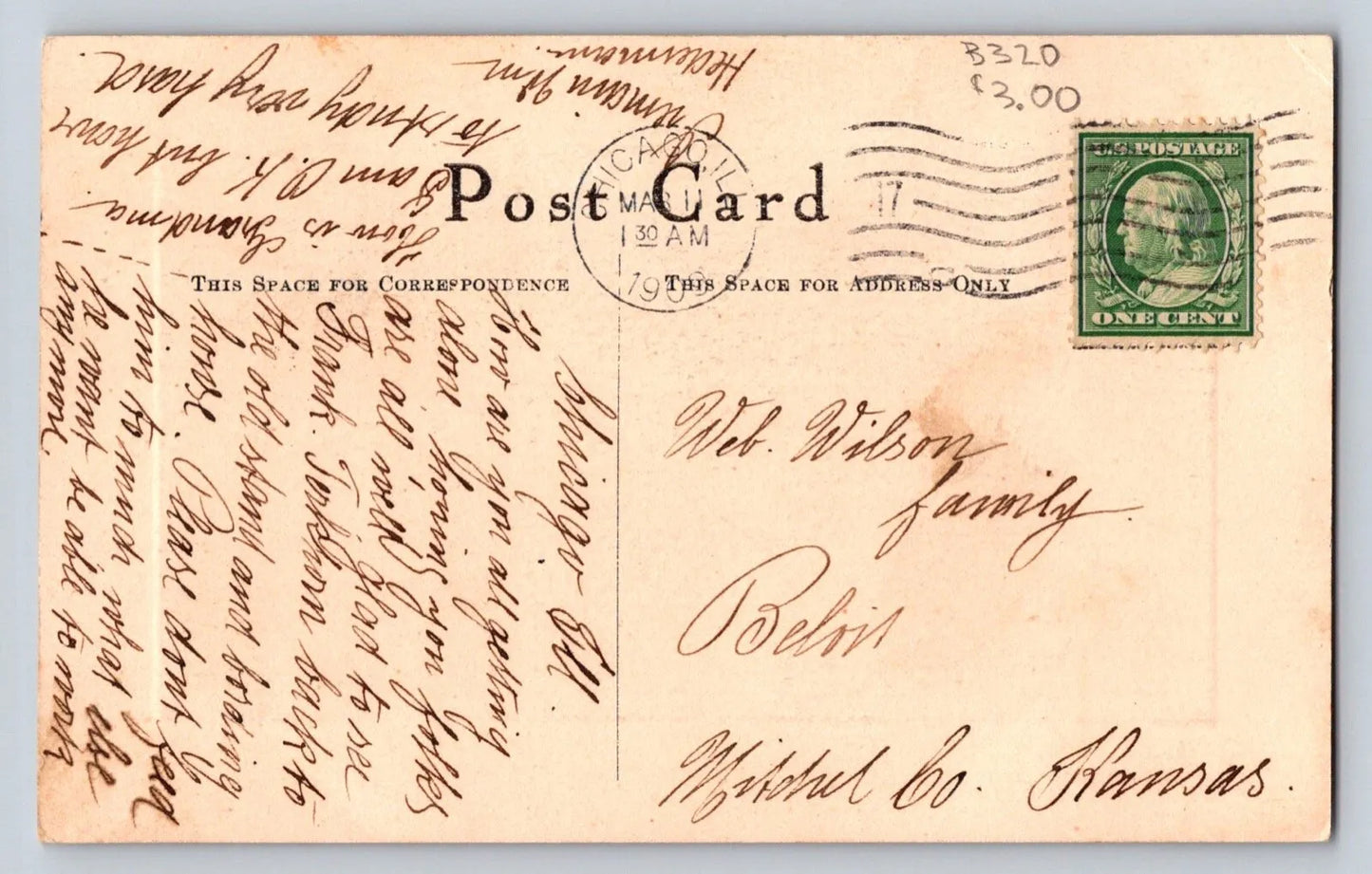 Untitled Tree Postcard Vintage Postcard (circa 1905) - Wonderful!