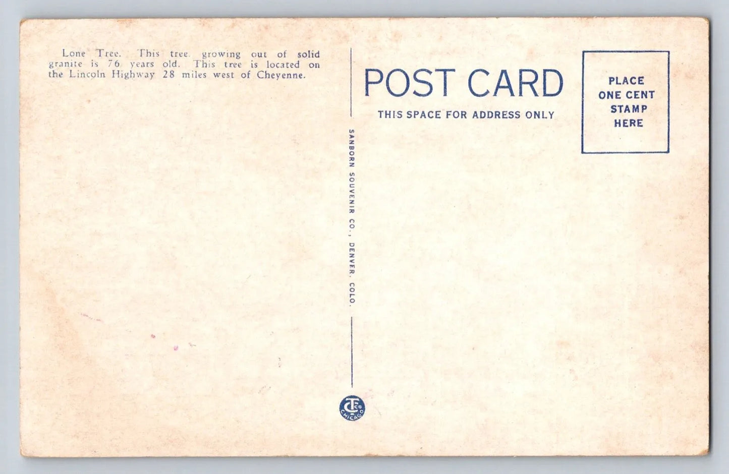 Tree Growing Out of Solid Rock, on Lincoln Highway Over Sherman Hill WY Postcard