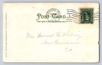 Hartford, Connecticut, the Lake, Bushnell Park Vintage United Art Co Postcard