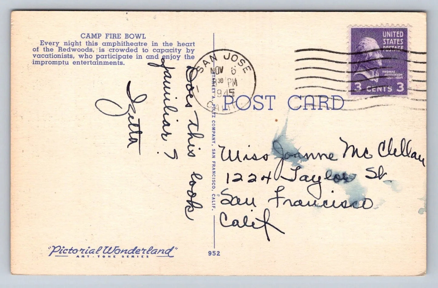 Camp Fire Bowl, Big Basin, California - Redwood Trees Vintage Postcard AWESOME