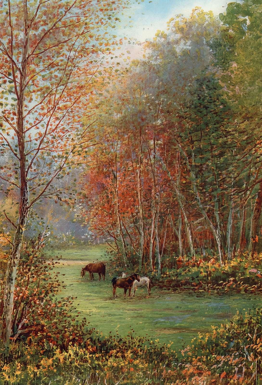 Ponies in the New Forest in 1929 Vintage Print (7 Sizes) - Premium Print