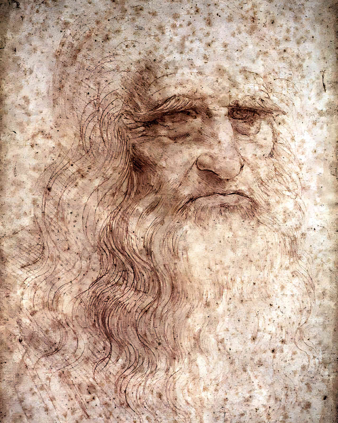 Portrait of a Bearded Man
