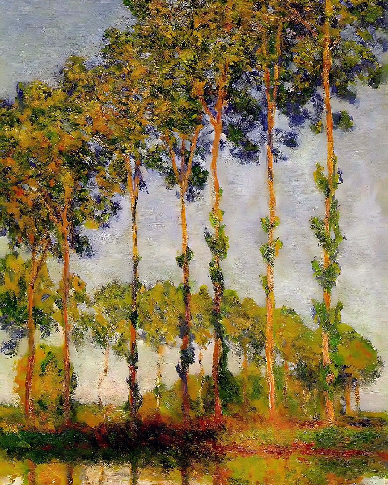 Poplars