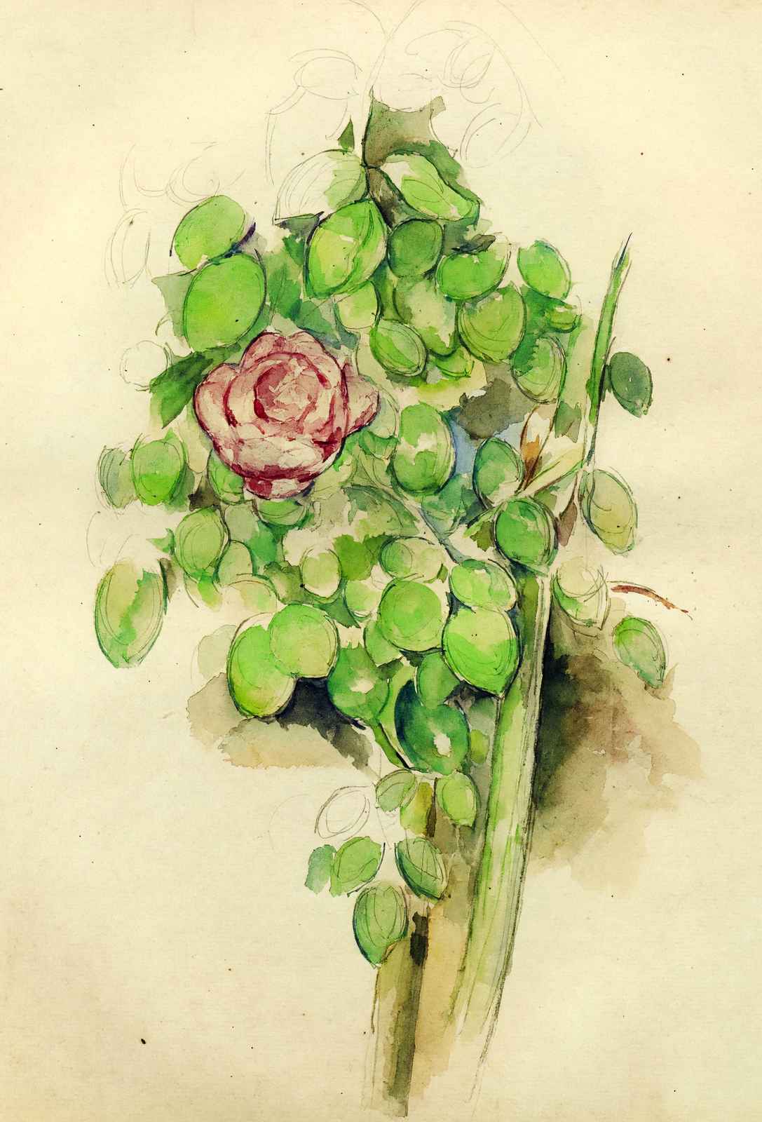 Rose Bush 1888 Painting by Paul Cezanne Fine Art Print (6 Sizes) - Restored