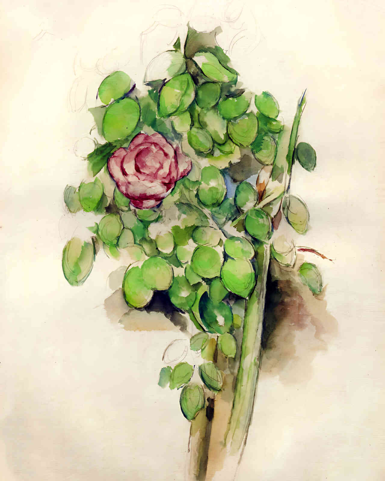 Rose Bush Painting by Paul Cezanne 8x10" Art Print - Restored