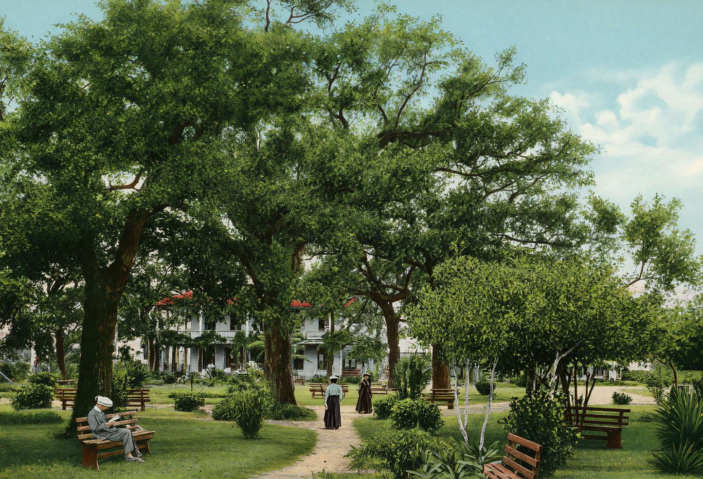 Scene in Sam Houston Park Houston in 1907 Vintage Print (7 Sizes)