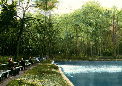 Spring Hill College Lake Mobile Alabama in 1906 Vintage Print (7 Sizes)