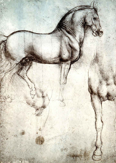 Study of Horses Art Print 1490 Painting by Leonardo da Vinci (6 Sizes)