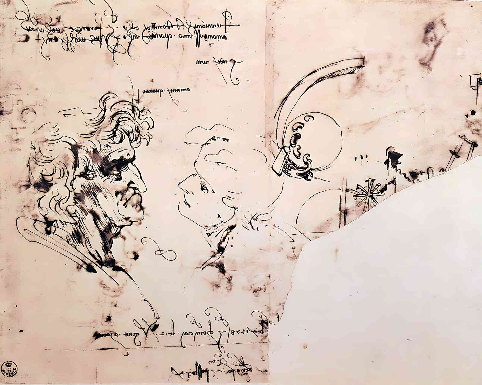 Study Sheet Painting by Leonardo da Vinci 8x10" Art Print (High Quality)