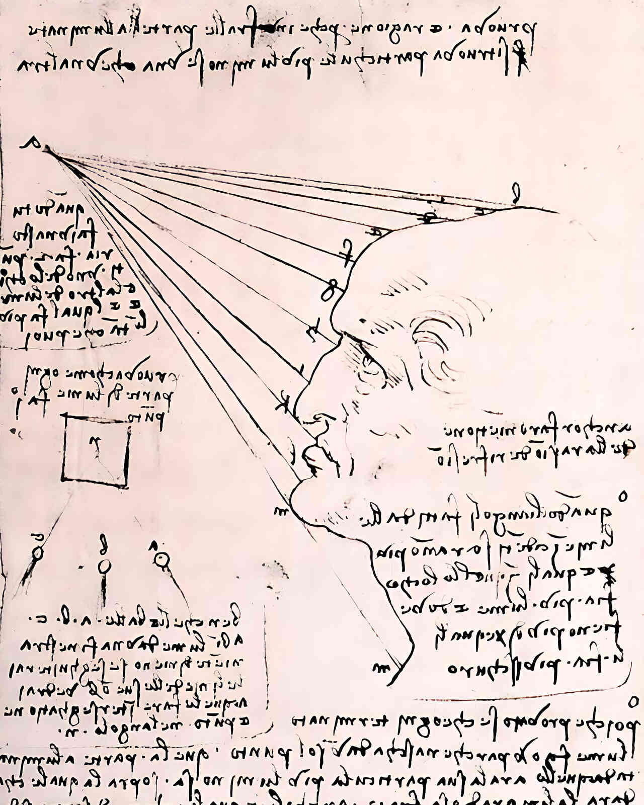 Study of the Effect of Light on a Profile Head (Facsimile) 8x10" Print
