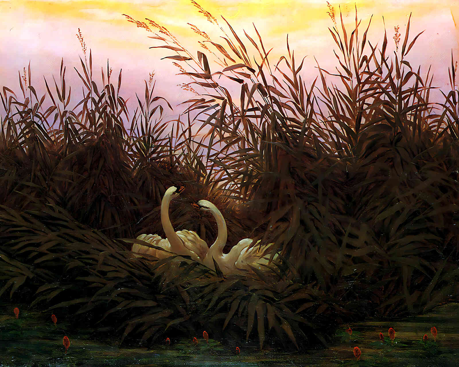 Swans Among the Reeds at the First Morgenro 8x10" Print (Restored Reproduction)