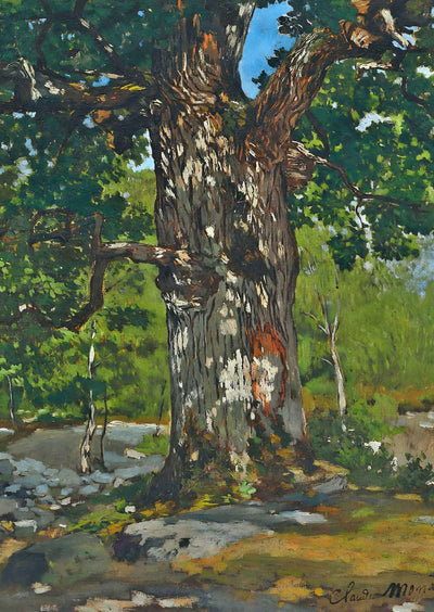The Bodmer Oak Art Print 1865 Painting by Claude Monet (6 Sizes) - Restored