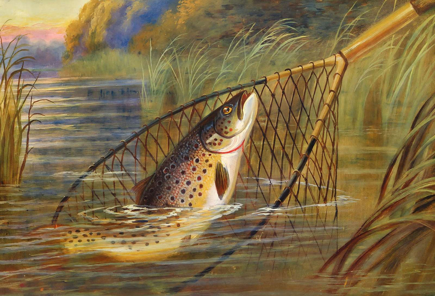 Trout a Beauty in 1904 Art Print (7 Sizes) - Retouched