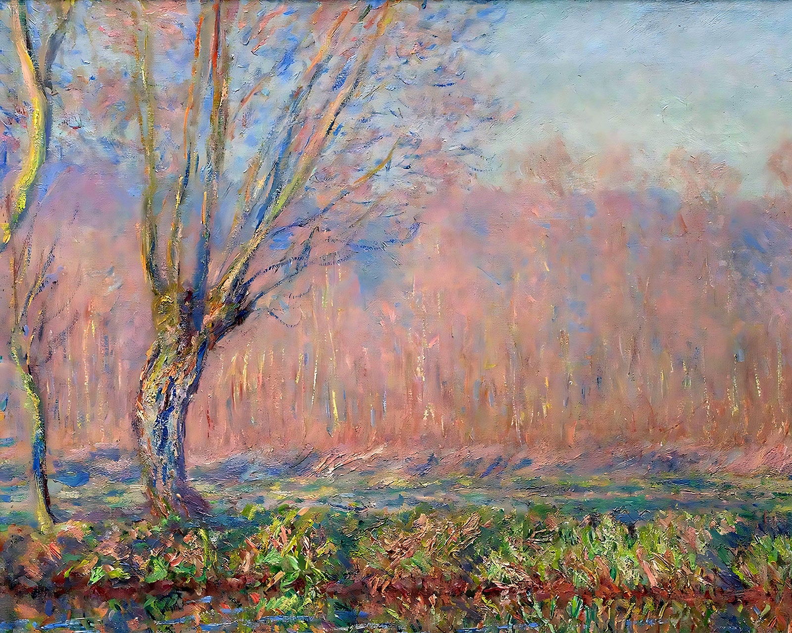 The Willows (1885) Painting by Claude Monet 8x10" Art Print