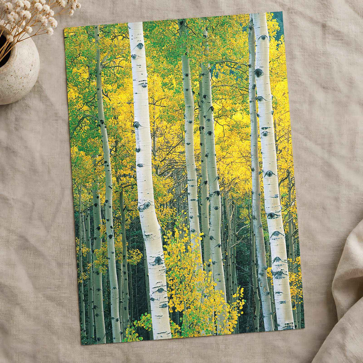 White Trees with Yellow Foliage Photographic Art Print (7 Sizes) - Satin Luster