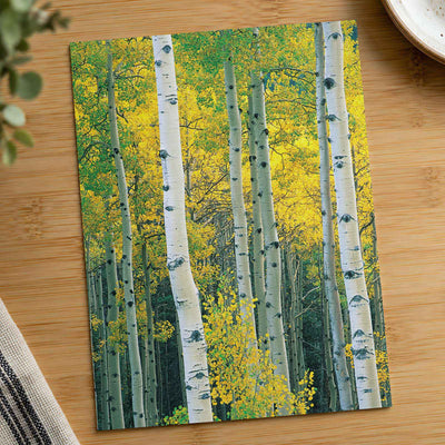 White Trees with Yellow Foliage Photographic Art Print (7 Sizes) - Satin Luster