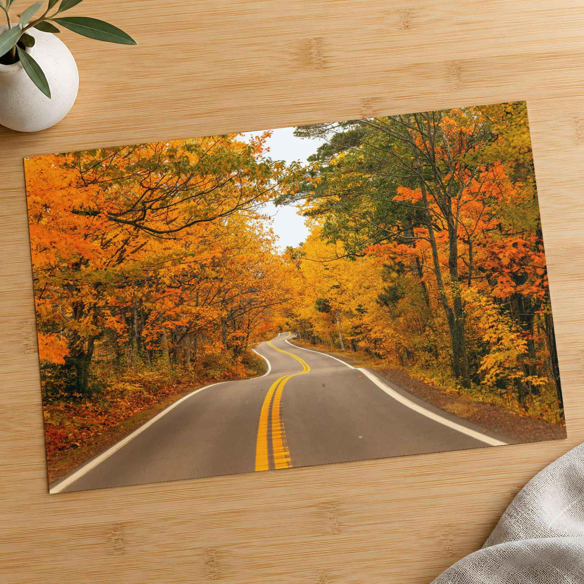 Road with Fall Foliage Photography Print (7 Sizes) - High Quality