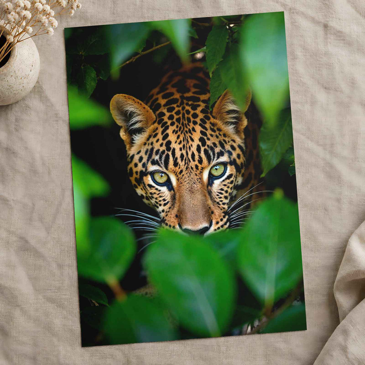 Close Up of Leopard's Face Mato Grosso Photography Print (7 Sizes)