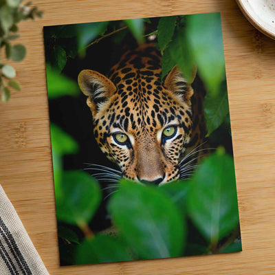 Close Up of Leopard's Face Mato Grosso Photography Print (7 Sizes)