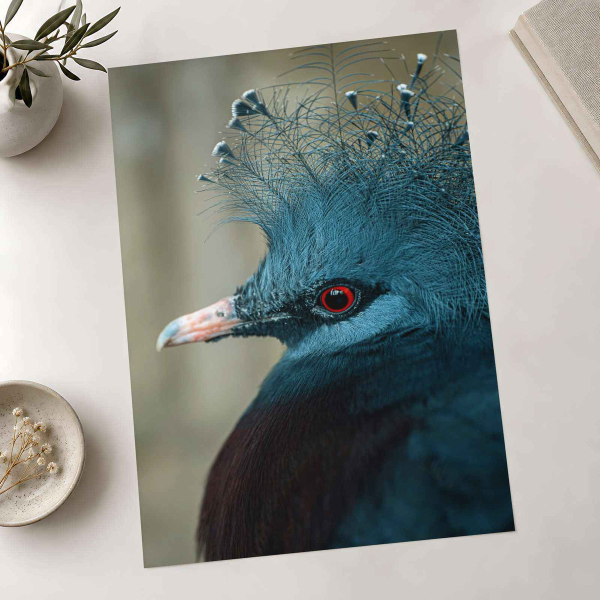 Close Up of Bird with Red Eyes Photo Print (7 Sizes) - High Quality