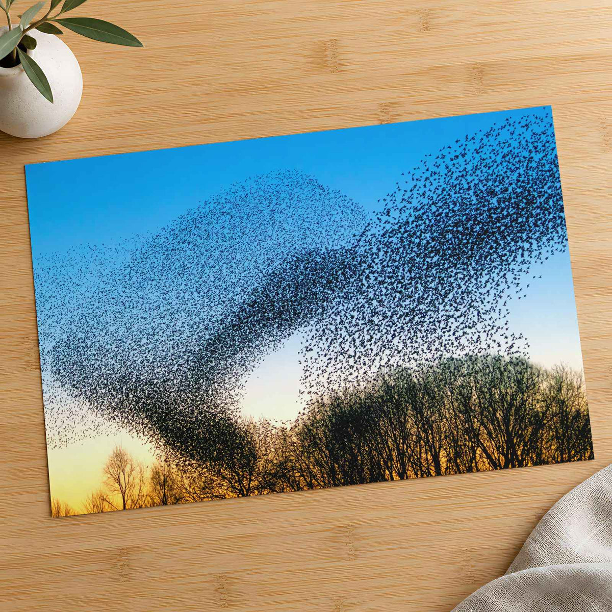 Flock of Starlings at Golden Hour Photo Wall Print (7 Sizes) - Satin Luster