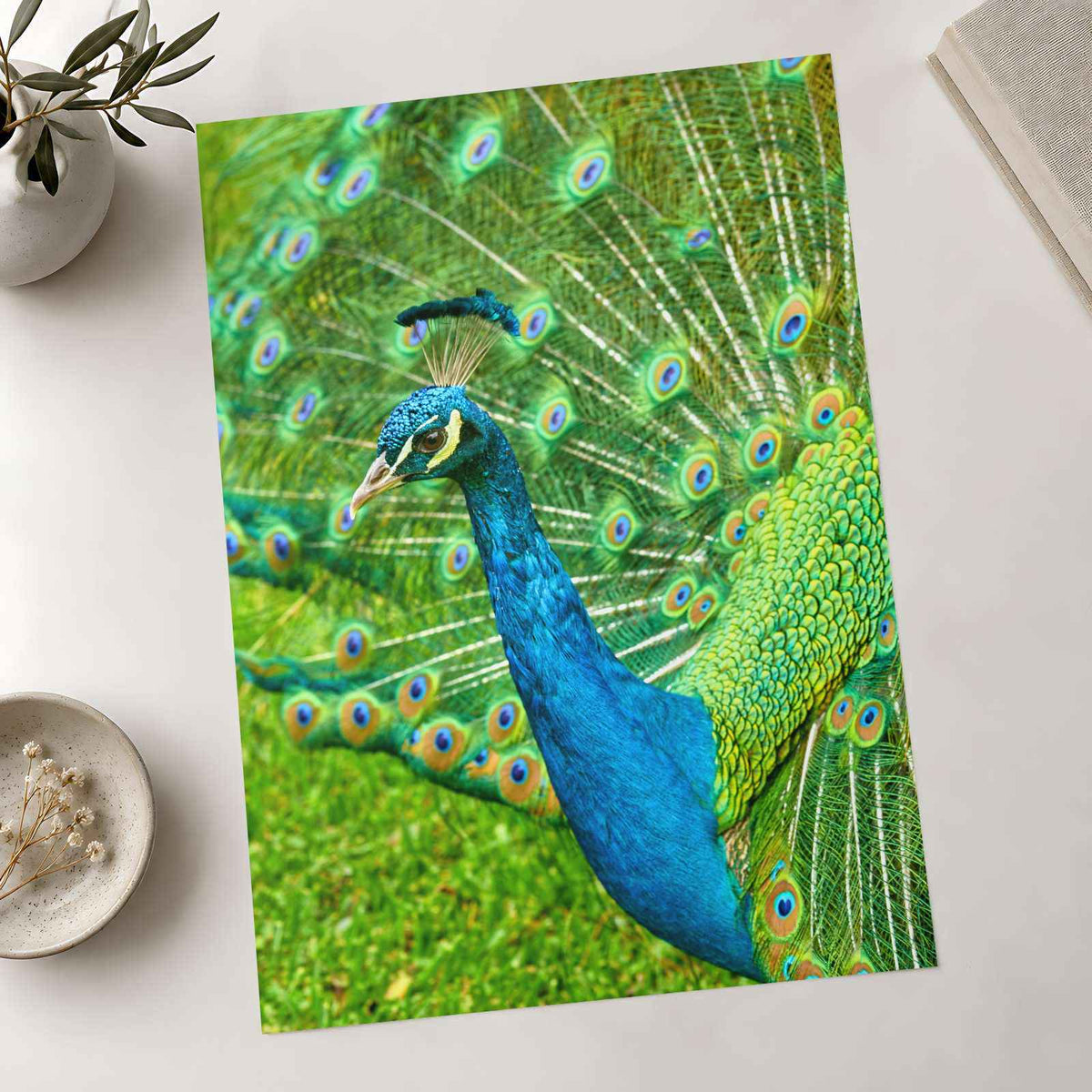 Peacock Photo Print (7 Sizes) - High Quality