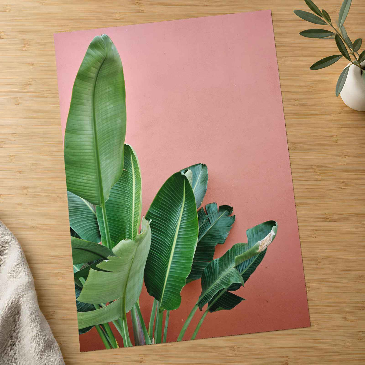 Tropical Plant Against a Pink Wall Photographic Art Print (7 Sizes) - Frameable