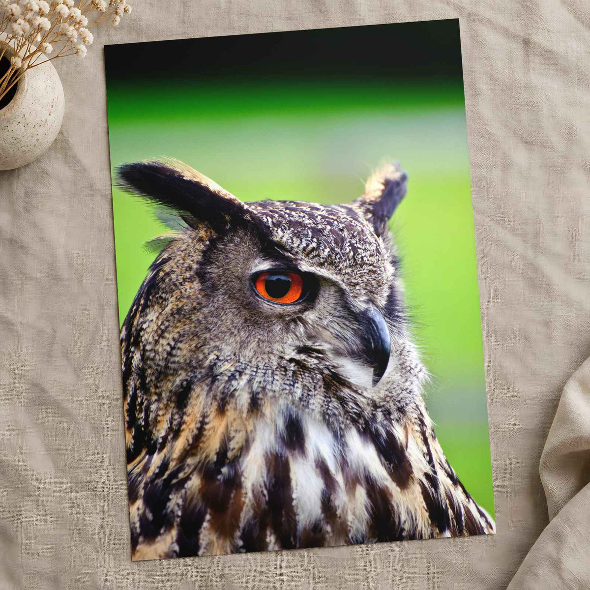 Beautiful European Eagle Owl Photography Print (7 Sizes) - Satin Luster