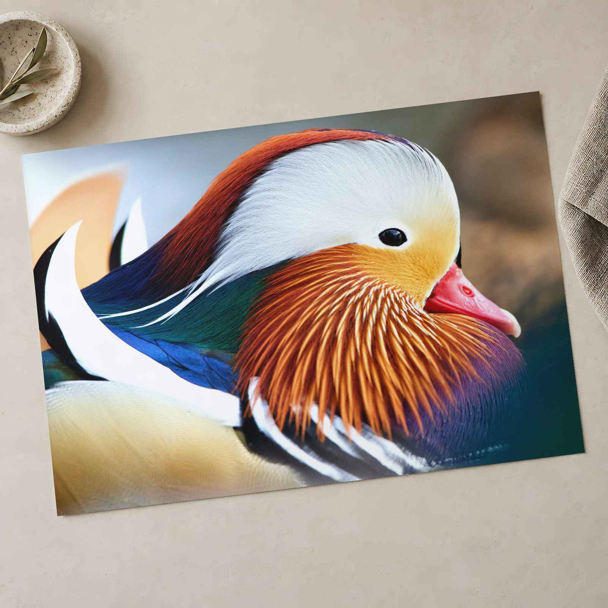 Close Up of Colorful Duck Photographic Art Print (7 Sizes) - Premium Quality