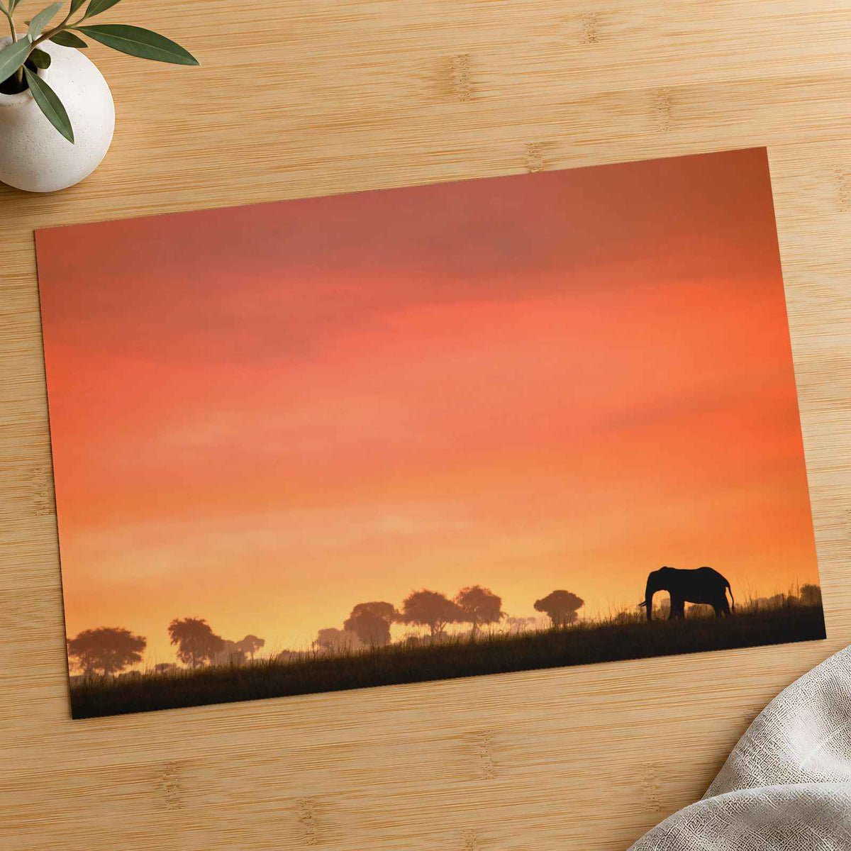 Elephant Silhouette at Sunset Photo Print (7 Sizes) - High Quality