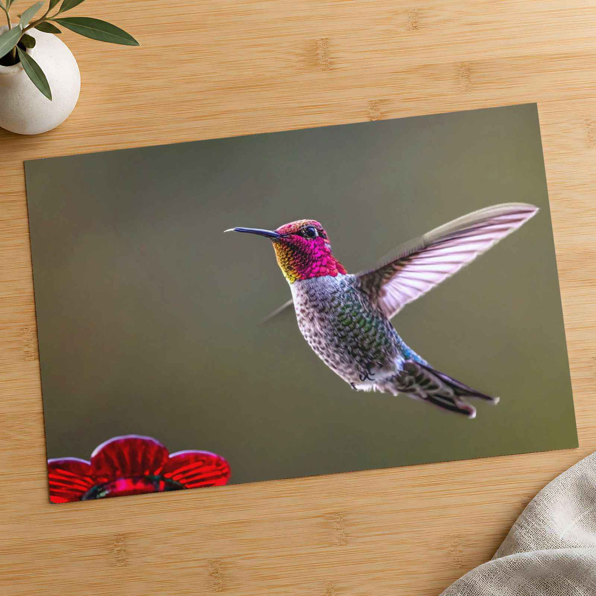 Hummingbird Flying in Willamette Valley Oregon Photographic Art Print (7 Sizes)