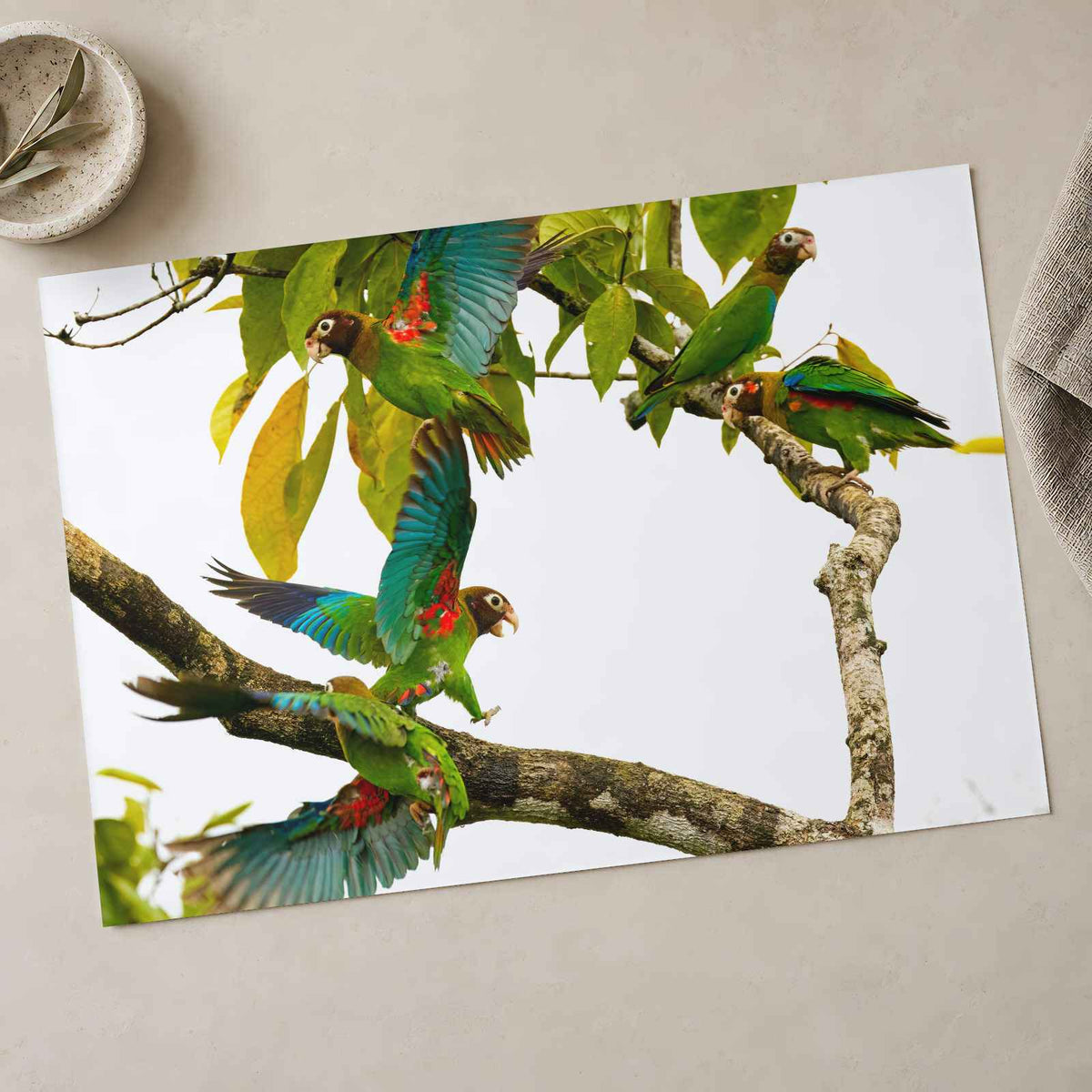 Group of Parrots in Tree Photo Wall Print (7 Sizes) - Ready to Frame