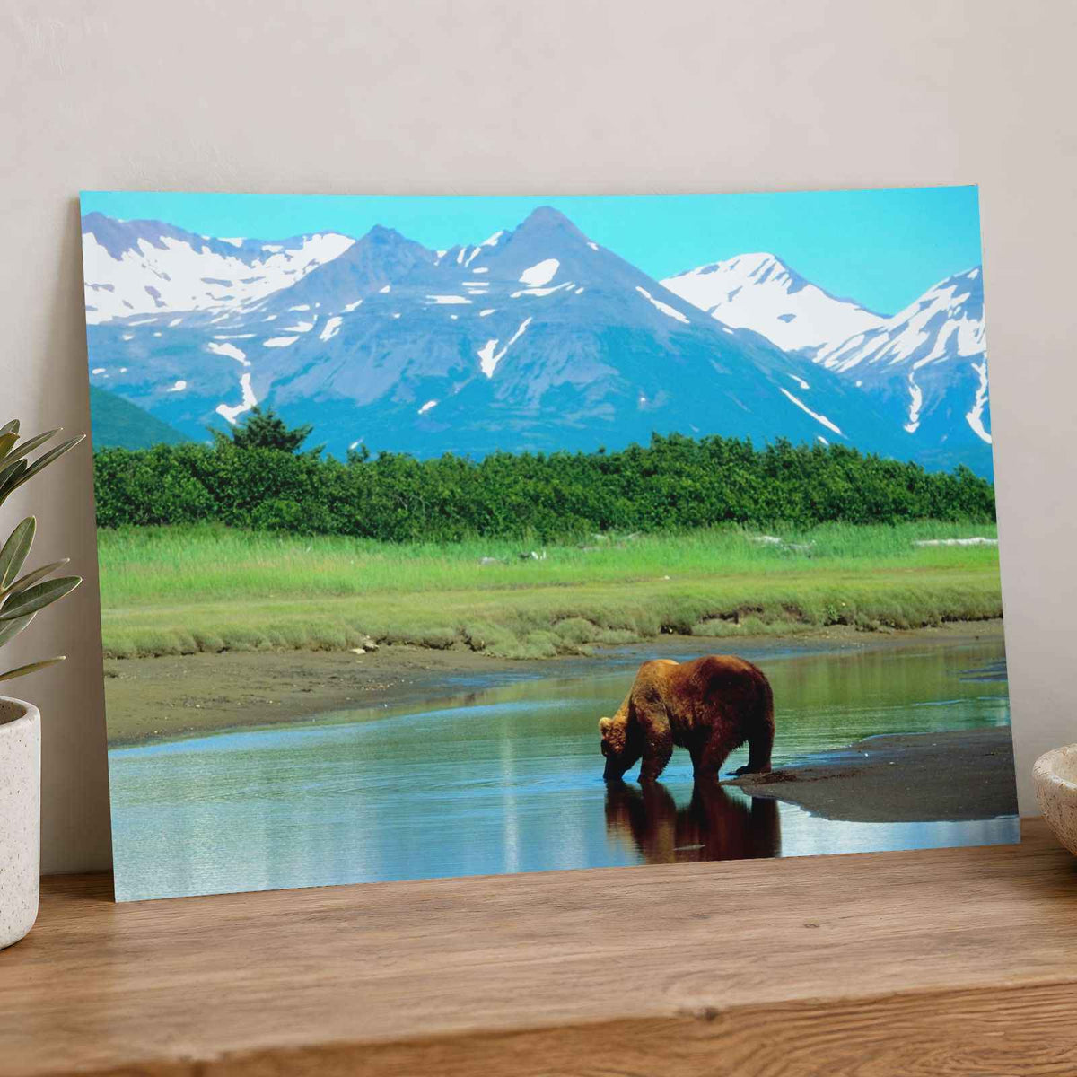 Brown Bear Standing in Stream Alaska Photo Wall Print (6 Sizes) - Printed in USA