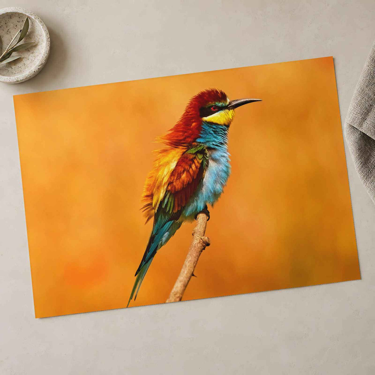Colorful Bird Sitting on Top of Tree Branch Photography Print (7 Sizes)
