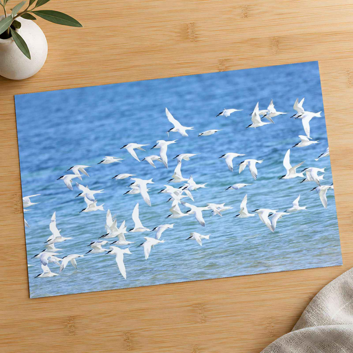 Flock of Birds Flying Over the Ocean Photo Print (7 Sizes) - High Quality