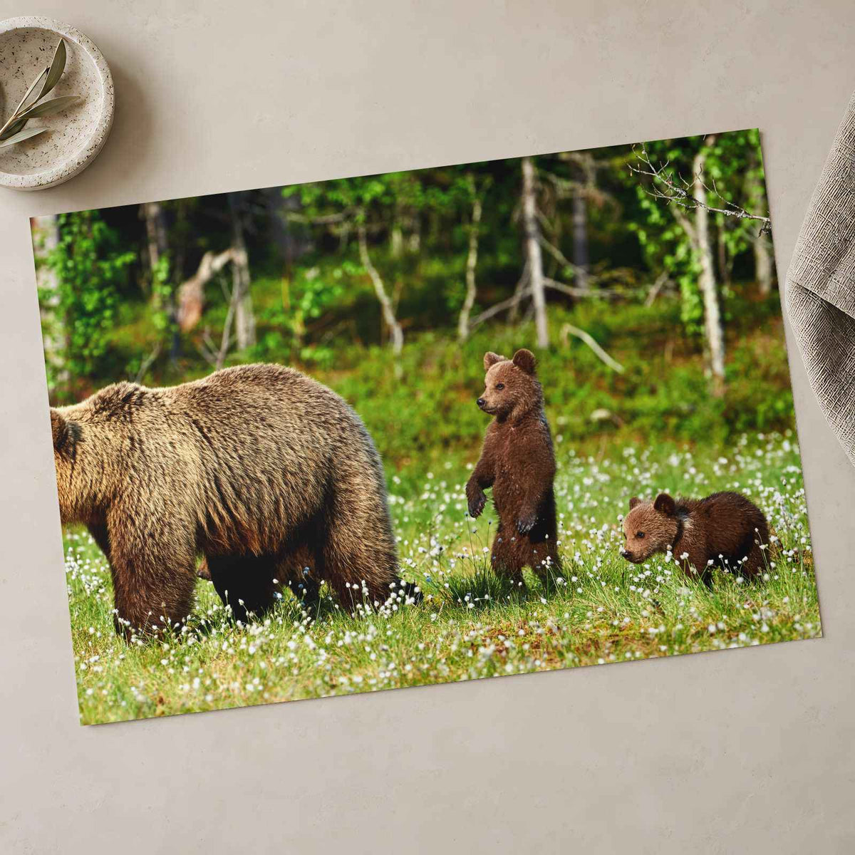 Mother Bear Protects Her Cubs Photo Wall Print (7 Sizes) - Ready to Frame