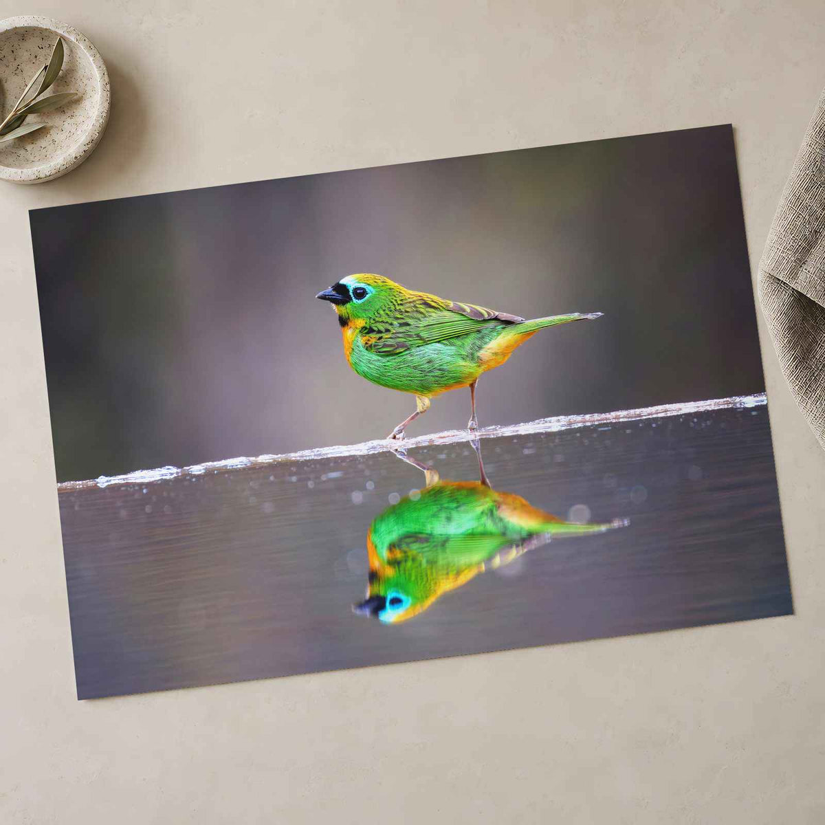 Green Bird with Orange Accents Reflected Photo Wall Print (7 Sizes) - Frameable