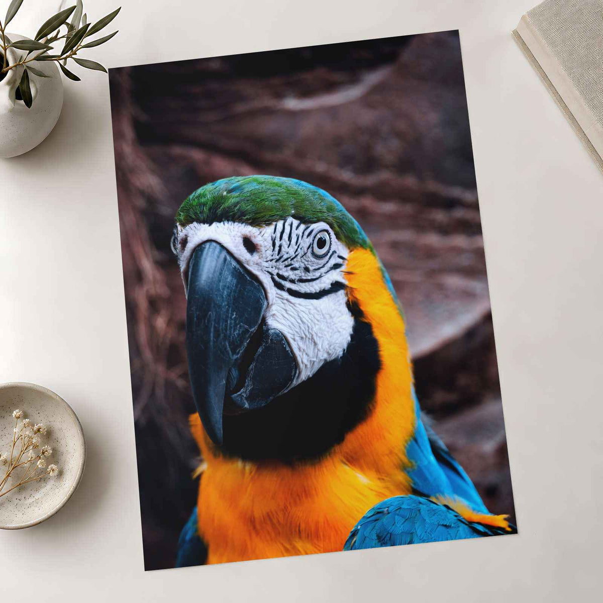 Blue and Yellow Parrot Sitting on Top of Tree Photography Print (7 Sizes)