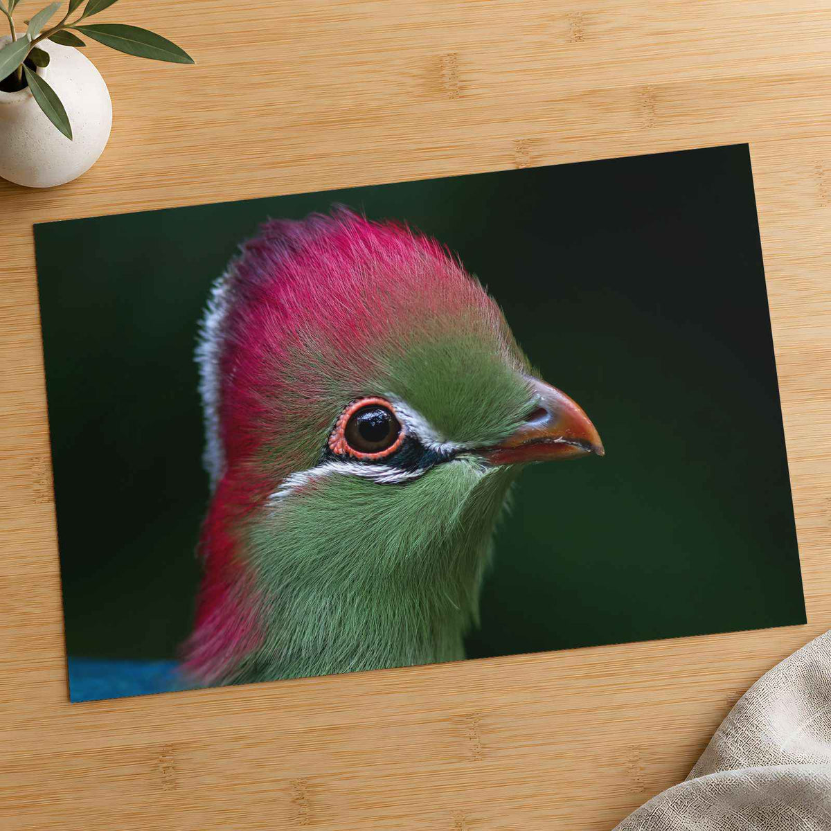 Close-up of Green Bird with Red Crest Photo Wall Art (7 Sizes) - Frameable