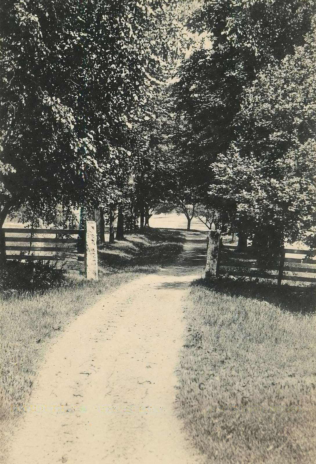 Webster Lane Plymouth NH in 1906 Vintage Print (7 Sizes) - Premium Quality