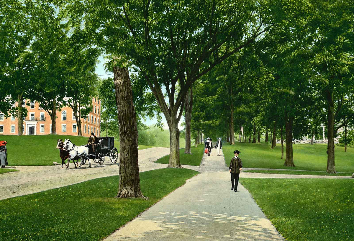 West College and President's House, Williamstown, MA in 1906 Vintage Print