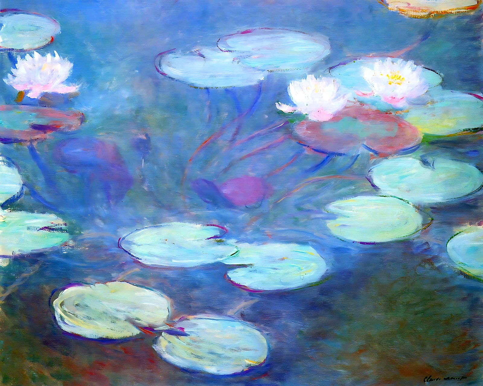 Water Lilies