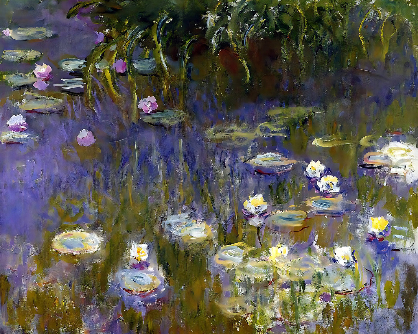 Water Lilies