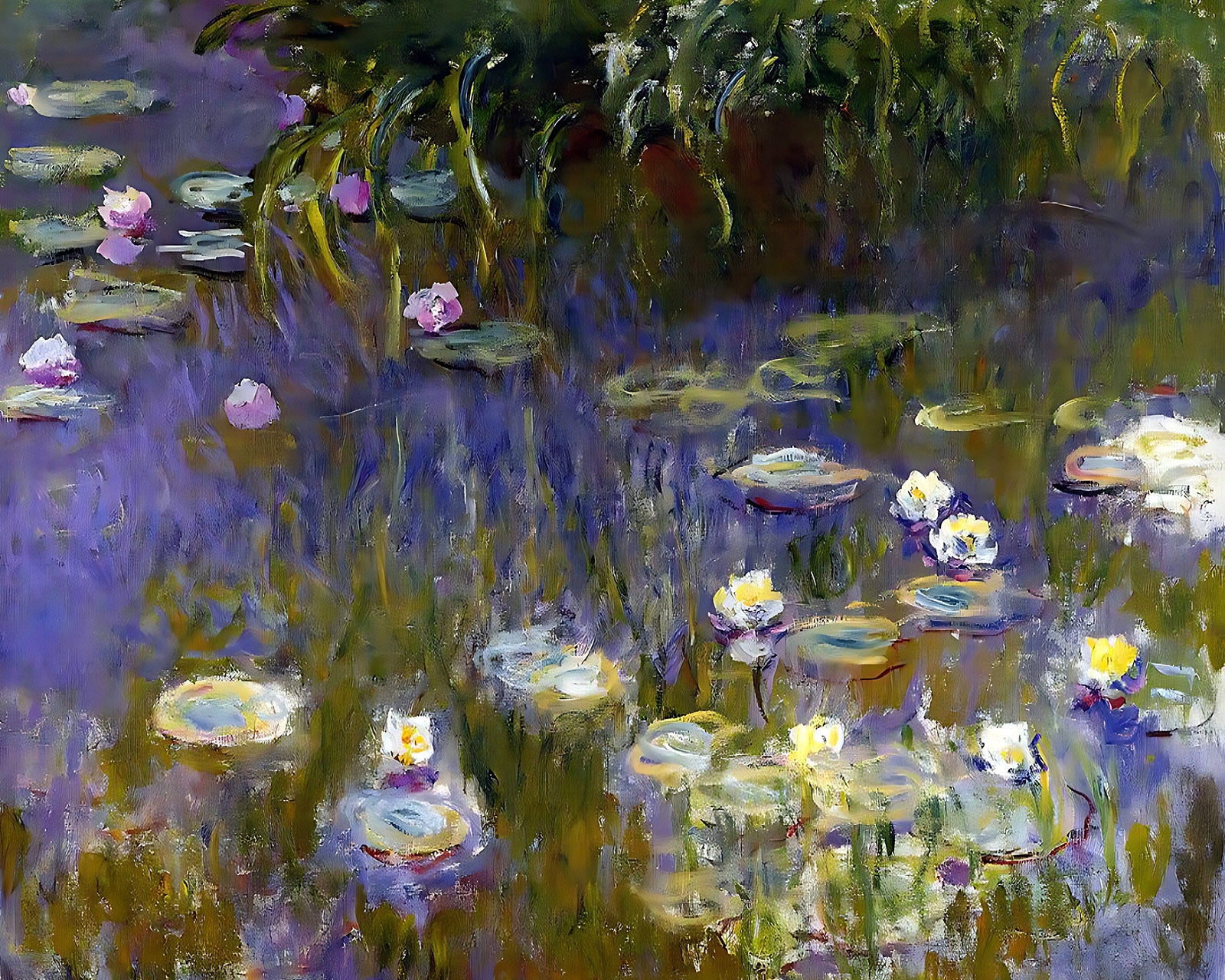 Water Lilies