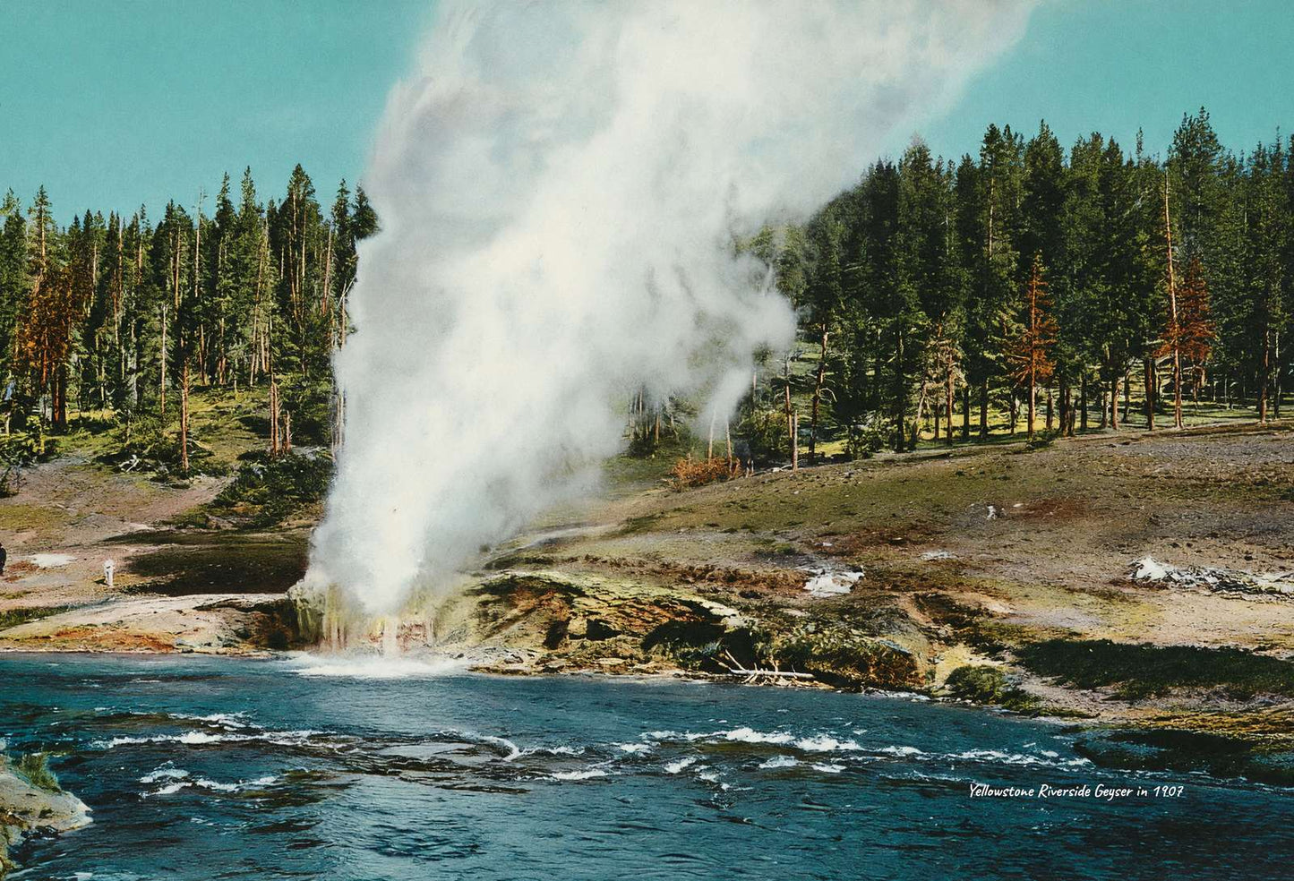 Yellowstone Riverside Geyser in 1907 Vintage Print (7 Sizes)