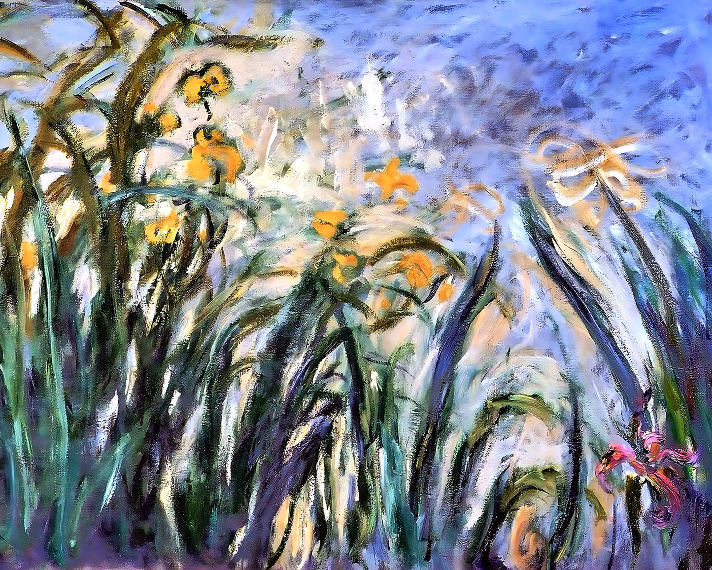Yellow Irises and Malva Painting by Claude Monet 8x10" Art Print